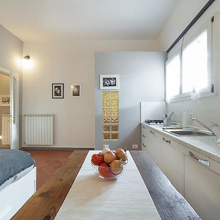Central Pitti Studio Flat Firenze Eksteriør billede